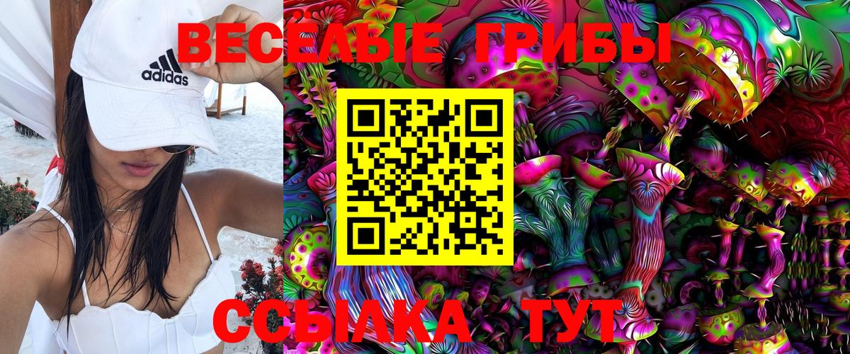 Галлюциногенные грибы Psilocybine cubensis Барнаул